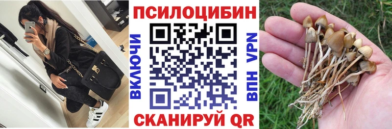 KRAKEN ссылки Макарьев Псилоцибиновые грибы мицелий